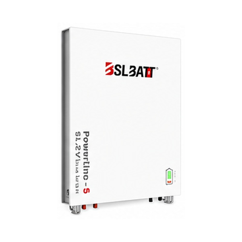 BSL Powerline 51.2V 100Ah 5.12kWh battery | MicroSec South Africa